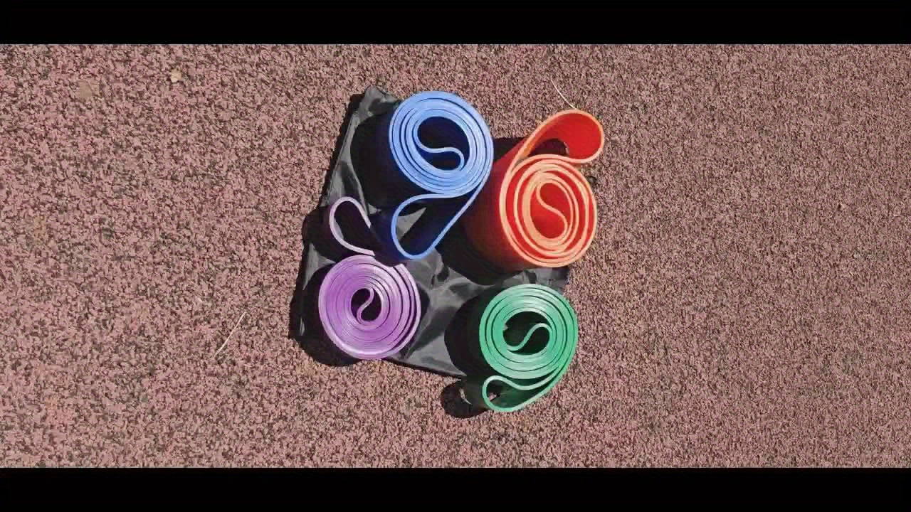 Resistance Band Set - Premium Fitness Bands for Men and Women, Pull Up Assist, Exercise and Body Sculpting, Leg Exercise, Resistance Training and Strength Building