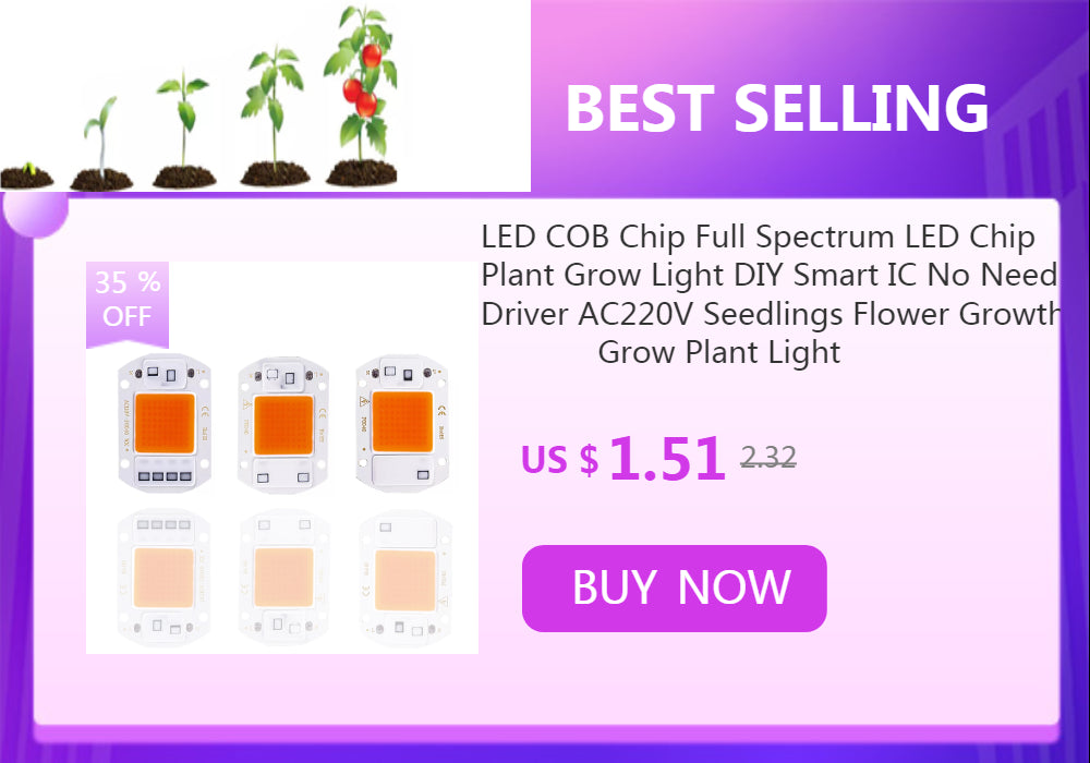 LED chip 20W 30W 50W AC 220V smart COB lamp beads LED lamp without driver DIY Lampada outdoor chip light floodlight spotlight