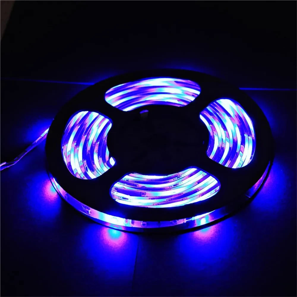 LED Strip Light 12V 5M 300 Leds SMD 2835 Diode Tape RGB & Single Colors High Quality LED Ribbon Flexible Home Decoration Lights