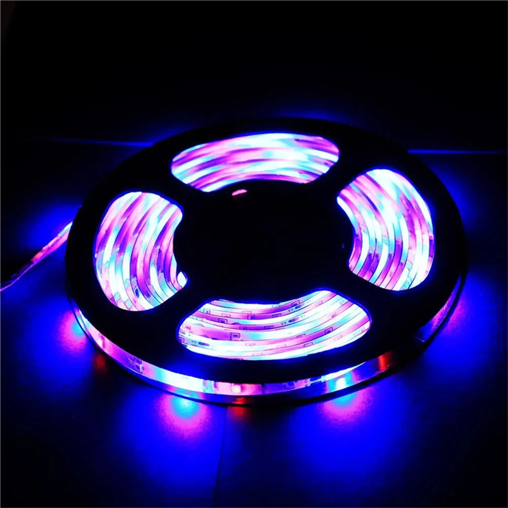 LED Strip Light 12V 5M 300 Leds SMD 2835 Diode Tape RGB & Single Colors High Quality LED Ribbon Flexible Home Decoration Lights